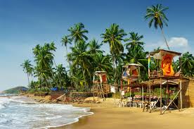 Solo Trip To Goa: Plan With This Detailed Guide In 2024